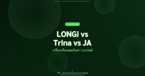 LONGi vs Trina vs JA - เปรียบเทียบแผงโซล่า 3 แบรนด์ | CYN Communication